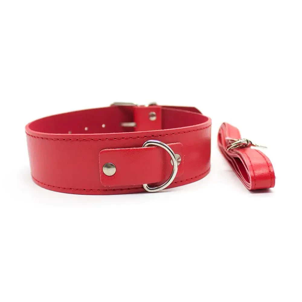 CHIC LEATHER LEASH AND COLLAR